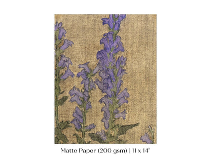 Delphinium | P276 - Single Art Prints - Piccolo Fiore Prints
