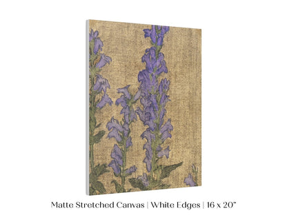 Delphinium | P276 - Single Art Prints - Piccolo Fiore Prints