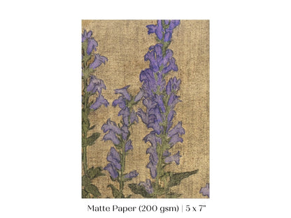 Delphinium | P276 - Single Art Prints - Piccolo Fiore Prints