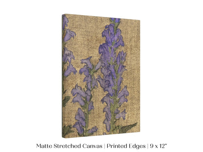 Delphinium | P276 - Single Art Prints - Piccolo Fiore Prints