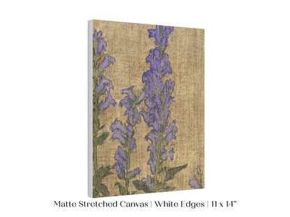 Delphinium | P276 - Single Art Prints - Piccolo Fiore Prints