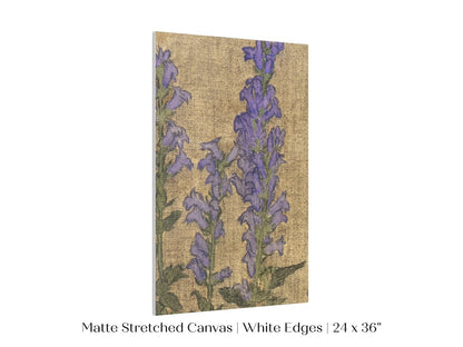 Delphinium | P276 - Single Art Prints - Piccolo Fiore Prints