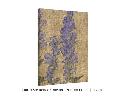 Delphinium | P276 - Single Art Prints - Piccolo Fiore Prints