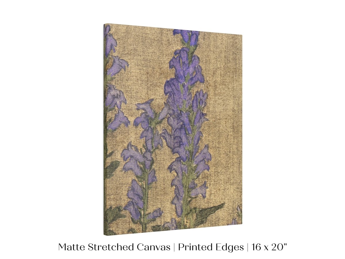 Delphinium | P276 - Single Art Prints - Piccolo Fiore Prints