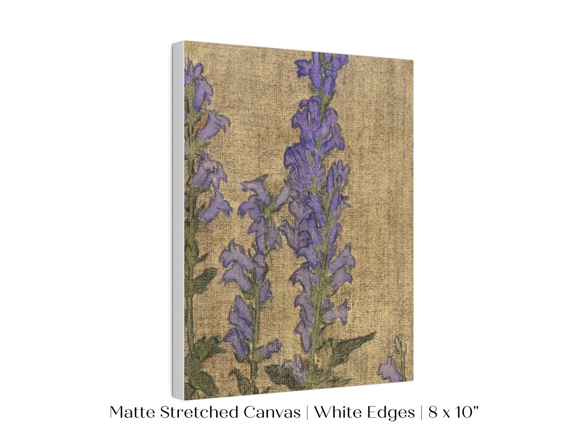 Delphinium | P276 - Single Art Prints - Piccolo Fiore Prints