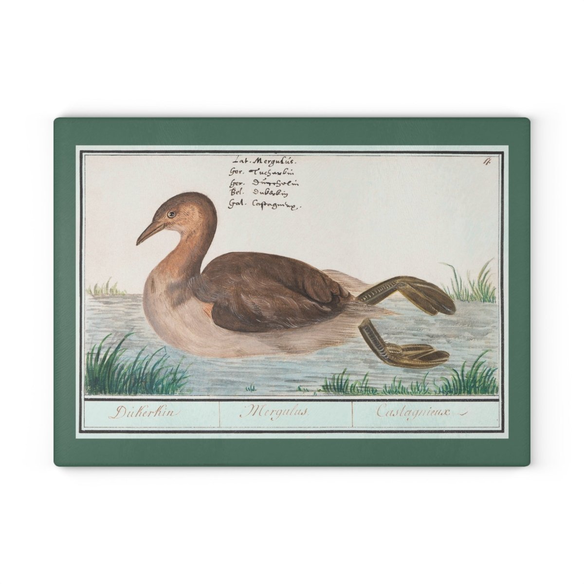 Duck | Glass Chopping Board - Glass Chopping Board - Piccolo Fiore Prints