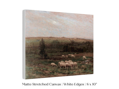 Evening After a Shower | P393 - Single Art Prints - Piccolo Fiore Prints