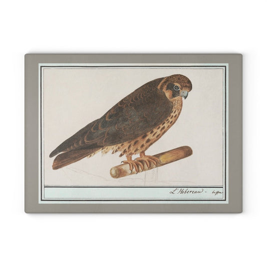 Falcon | Glass Chopping Board - Glass Chopping Board - Piccolo Fiore Prints