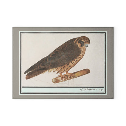 Falcon | Glass Chopping Board - Glass Chopping Board - Piccolo Fiore Prints