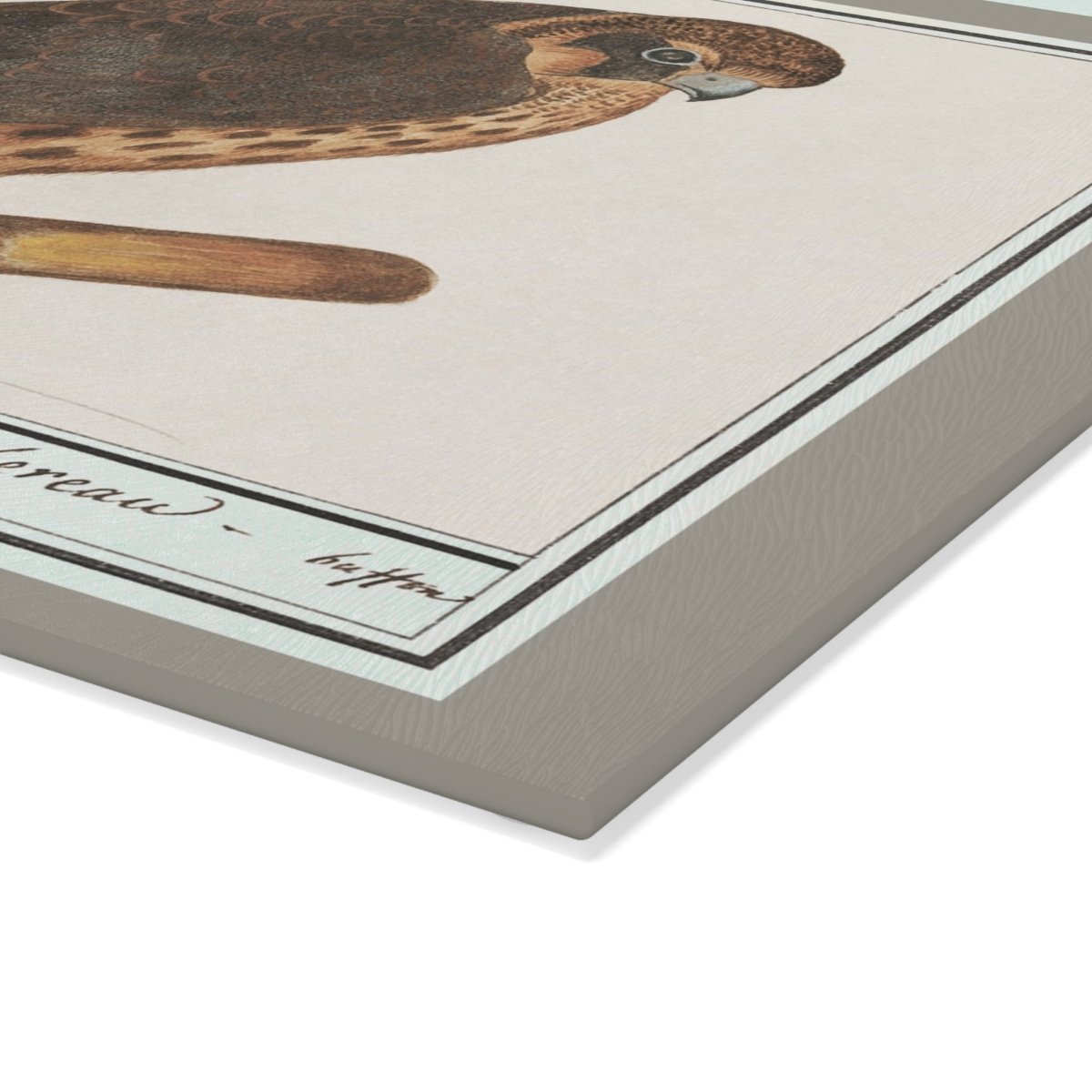 Falcon | Glass Chopping Board - Glass Chopping Board - Piccolo Fiore Prints