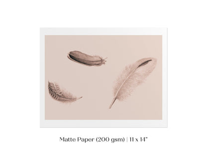 Feather Study | P389 - Single Art Prints - Piccolo Fiore Prints