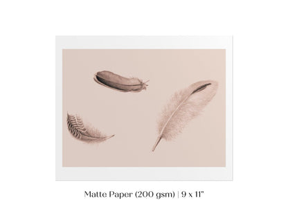 Feather Study | P389 - Single Art Prints - Piccolo Fiore Prints