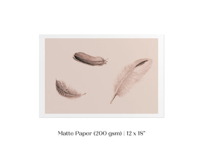 Feather Study | P389 - Single Art Prints - Piccolo Fiore Prints