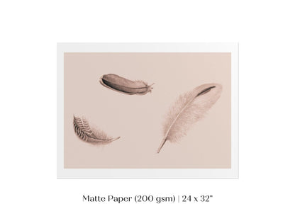 Feather Study | P389 - Single Art Prints - Piccolo Fiore Prints