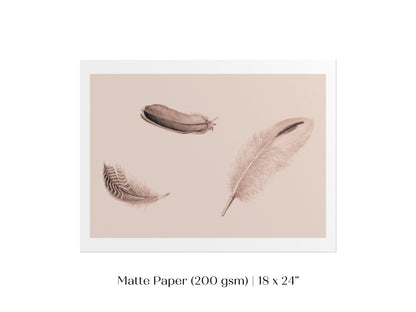 Feather Study | P389 - Single Art Prints - Piccolo Fiore Prints