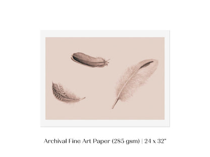 Feather Study | P389 - Single Art Prints - Piccolo Fiore Prints