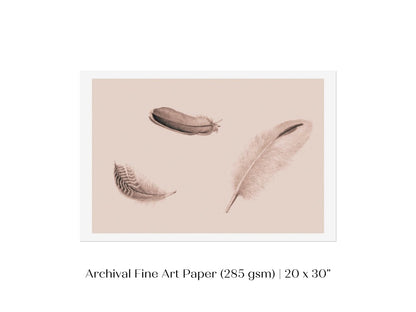 Feather Study | P389 - Single Art Prints - Piccolo Fiore Prints