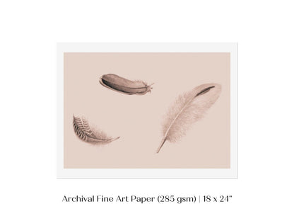 Feather Study | P389 - Single Art Prints - Piccolo Fiore Prints