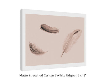 Feather Study | P389 - Single Art Prints - Piccolo Fiore Prints