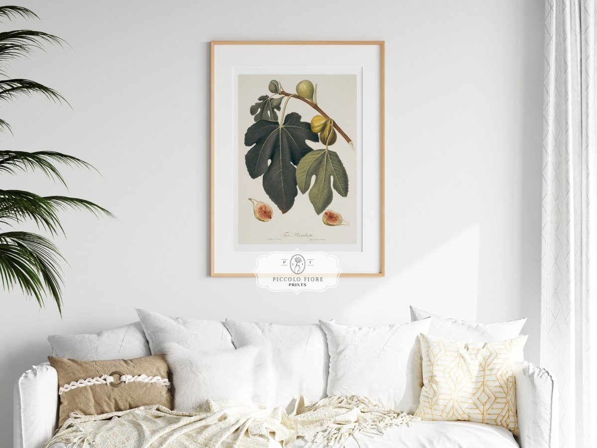 Fig Illustration | P403 - Single Art Prints - Piccolo Fiore Prints