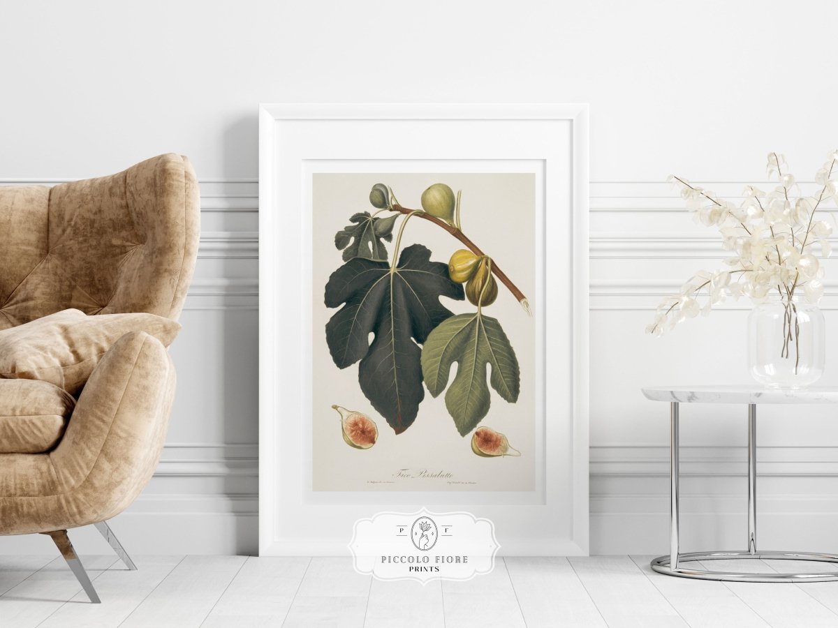 Fig Illustration | P403 - Single Art Prints - Piccolo Fiore Prints