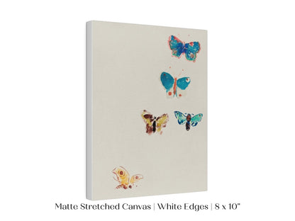 Five Butterflies | P33 - Single Art Prints - Piccolo Fiore Prints