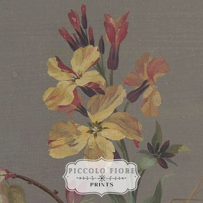 Floral Design | P122 - Single Art Prints - Piccolo Fiore Prints