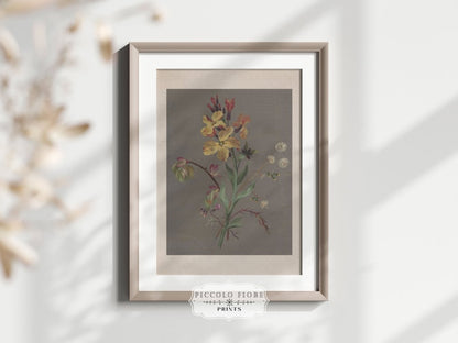 Floral Design | P122 - Single Art Prints - Piccolo Fiore Prints