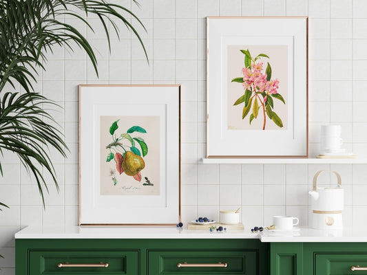 Flowers and Fruit | Gallery Wall Set | 2 Prints | S12 - 1.2 - Gallery Wall Set - Piccolo Fiore Prints