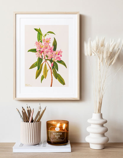 Flowers and Fruit | Gallery Wall Set | 2 Prints | S12 - 1.2 - Gallery Wall Set - Piccolo Fiore Prints