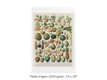 Fruits and Vegetables Chart | P396 - Single Art Prints - Piccolo Fiore Prints