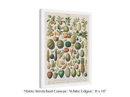 Fruits and Vegetables Chart | P396 - Single Art Prints - Piccolo Fiore Prints