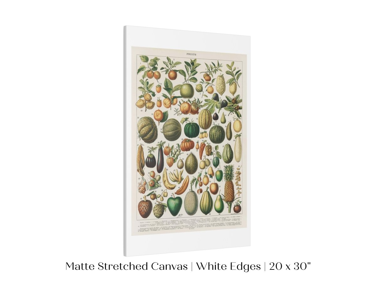 Fruits and Vegetables Chart | P396 - Single Art Prints - Piccolo Fiore Prints