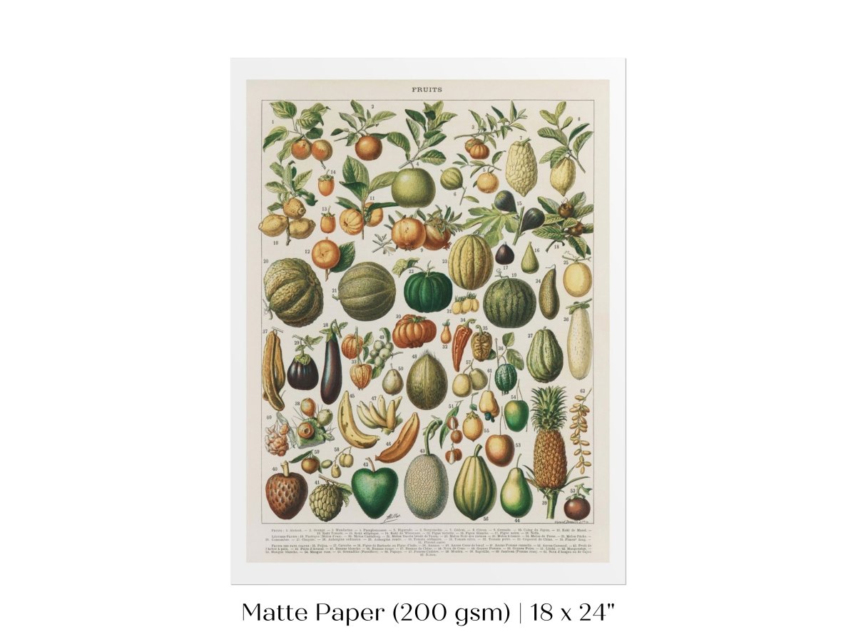 Fruits and Vegetables Chart | P396 - Single Art Prints - Piccolo Fiore Prints