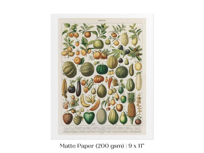 Fruits and Vegetables Chart | P396 - Single Art Prints - Piccolo Fiore Prints