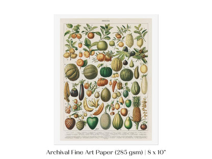 Fruits and Vegetables Chart | P396 - Single Art Prints - Piccolo Fiore Prints