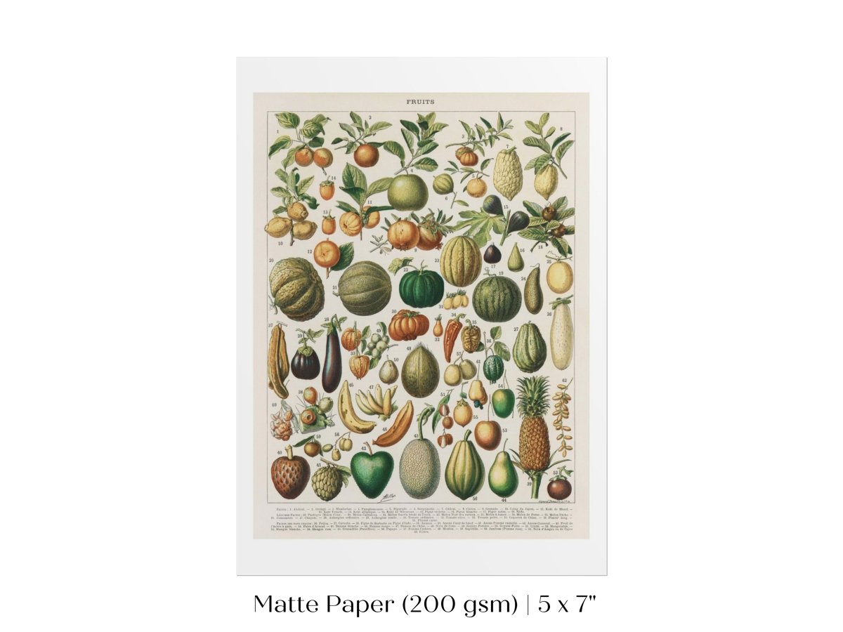 Fruits and Vegetables Chart | P396 - Single Art Prints - Piccolo Fiore Prints