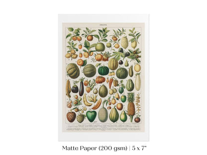 Fruits and Vegetables Chart | P396 - Single Art Prints - Piccolo Fiore Prints