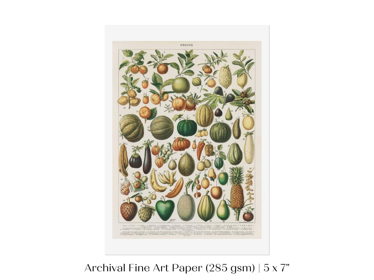 Fruits and Vegetables Chart | P396 - Single Art Prints - Piccolo Fiore Prints