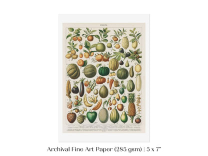 Fruits and Vegetables Chart | P396 - Single Art Prints - Piccolo Fiore Prints