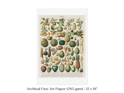 Fruits and Vegetables Chart | P396 - Single Art Prints - Piccolo Fiore Prints