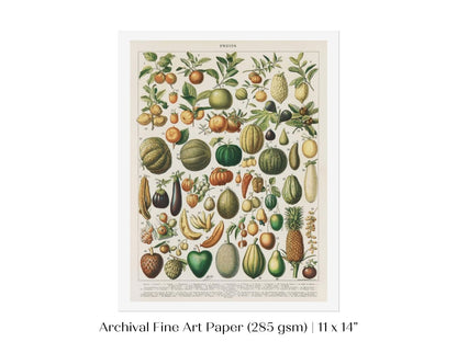 Fruits and Vegetables Chart | P396 - Single Art Prints - Piccolo Fiore Prints
