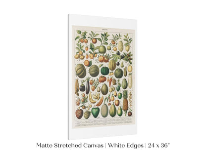 Fruits and Vegetables Chart | P396 - Single Art Prints - Piccolo Fiore Prints
