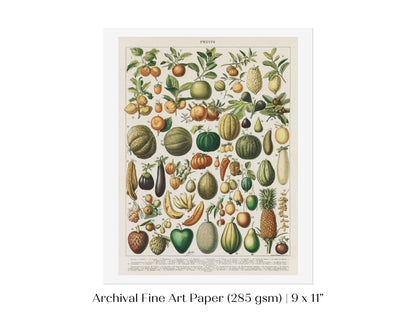 Fruits and Vegetables Chart | P396 - Single Art Prints - Piccolo Fiore Prints