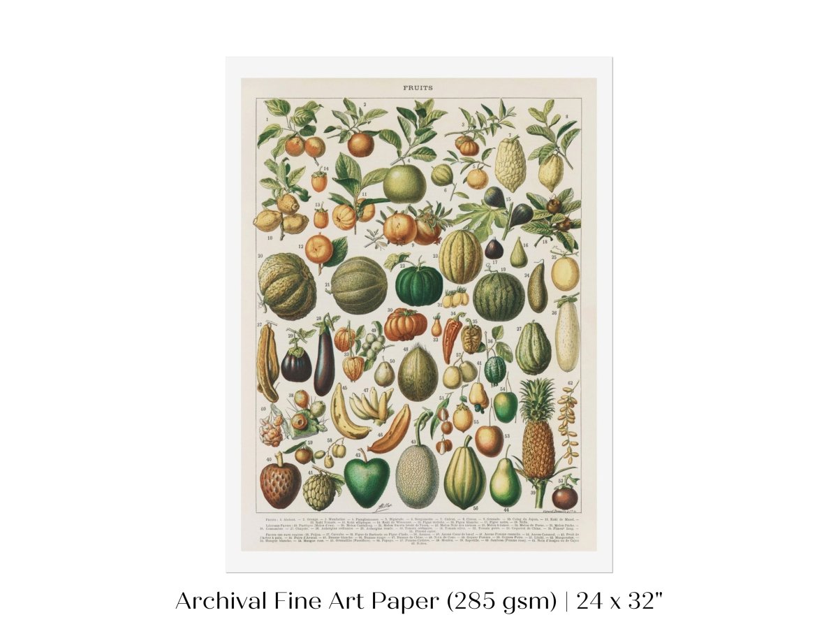 Fruits and Vegetables Chart | P396 - Single Art Prints - Piccolo Fiore Prints