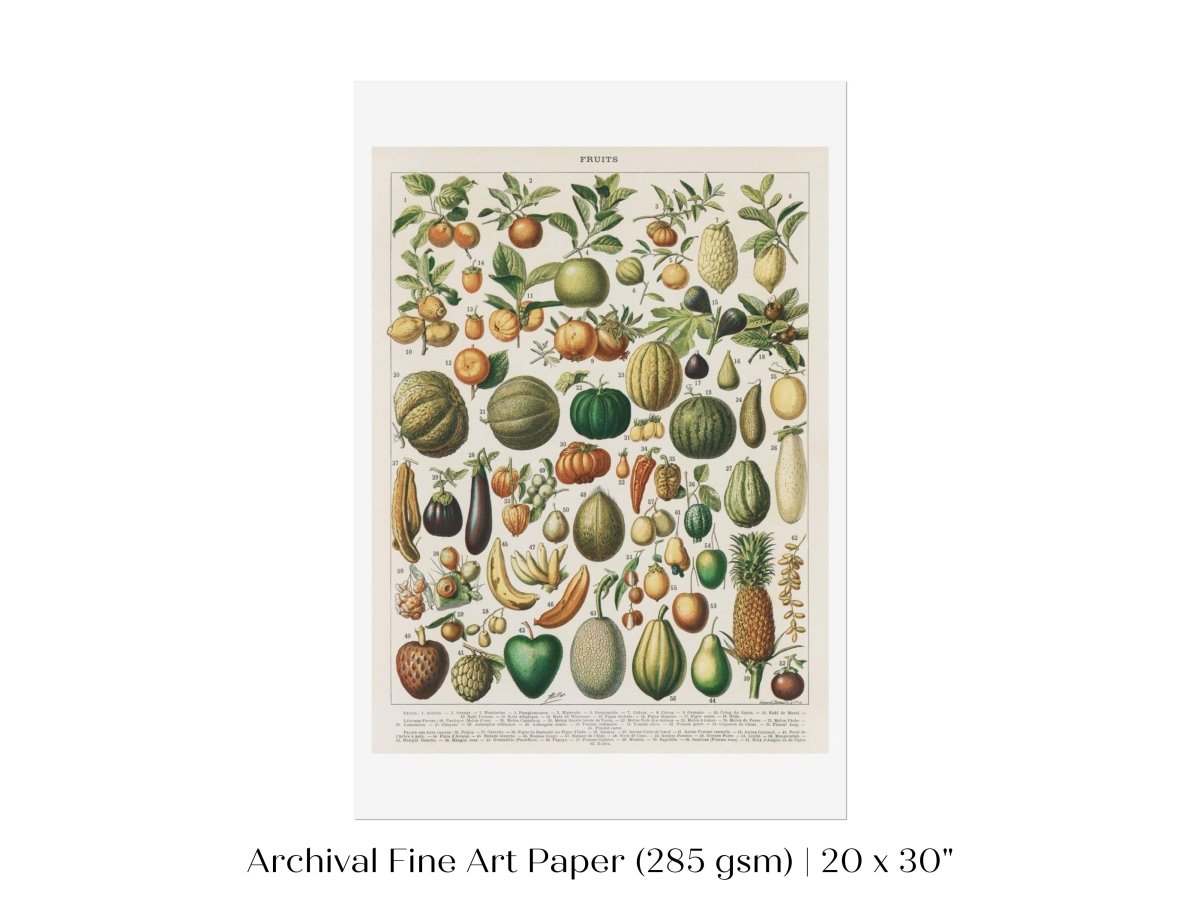Fruits and Vegetables Chart | P396 - Single Art Prints - Piccolo Fiore Prints