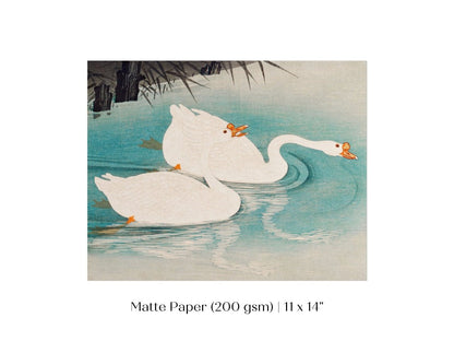 Geese Amid Reeds | Vintage Japanese Art | P353 - Single Art Prints - Piccolo Fiore Prints