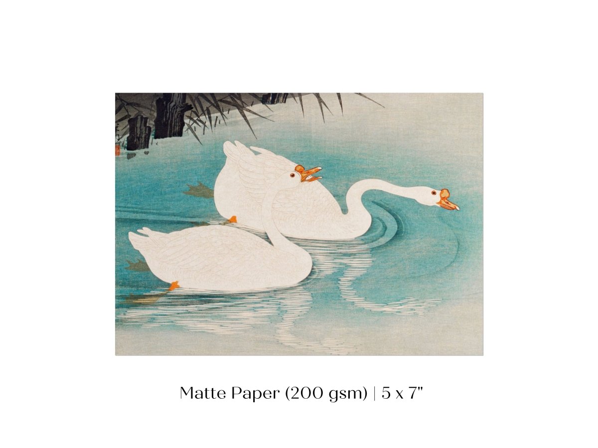 Geese Amid Reeds | Vintage Japanese Art | P353 - Single Art Prints - Piccolo Fiore Prints
