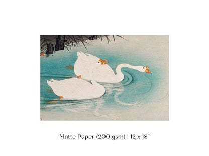 Geese Amid Reeds | Vintage Japanese Art | P353 - Single Art Prints - Piccolo Fiore Prints