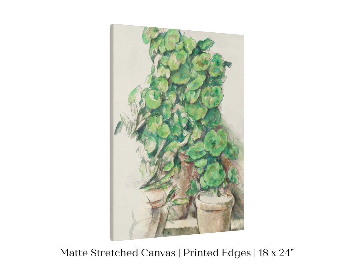 Geraniums | P176 - Single Art Prints - Piccolo Fiore Prints